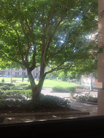 Ryans On The Park - Accommodation Gold Coast 0