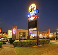 Dog  Parrot Tavern - Gold Coast 4U