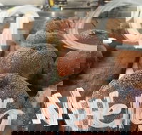 Fuel Bakehouse - Accommodation Gold Coast