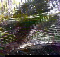 Lorikeet's Coffee Shop - Accommodation Gold Coast