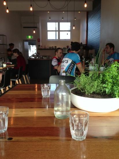 The Single Guys Coffee Co. - Accommodation Gold Coast 1