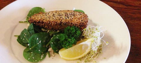 Bonappetite Cafe - Gold Coast 4U 2