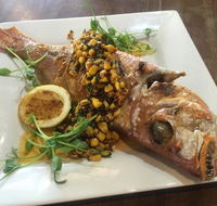 Deli Chicchi - Gold Coast 4U