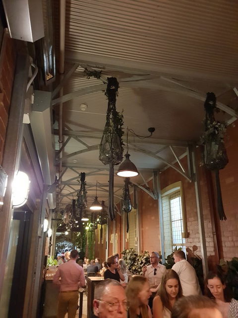 The Stables Bar - Accommodation Gold Coast 21