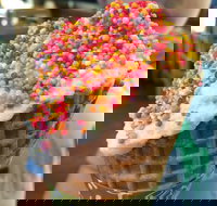 Brew  Scoop - Accommodation Gold Coast