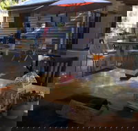 Cedrus Tree Cafe - Accommodation Gold Coast