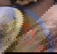 Mount Isa Irish Club - Accommodation Gold Coast