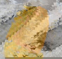 Scotsmans Fish  Chips - 1 Gold Coast