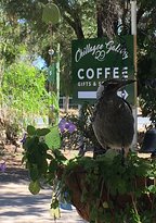 Chillagoe Gallery 29 - 1 Gold Coast 1