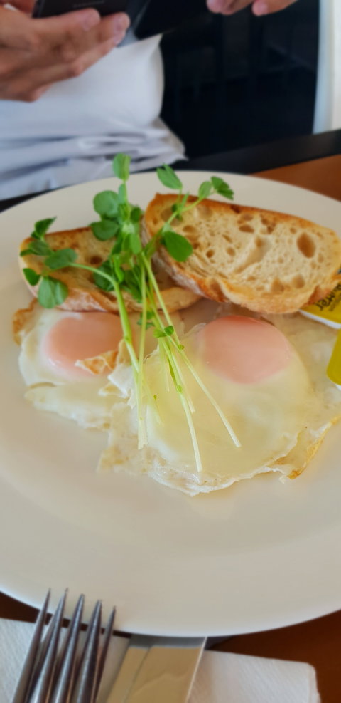 Migaloo's Cafe - 1 Gold Coast 1