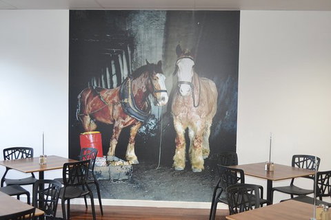 Pit Pony Hotel - Accommodation Gold Coast 0