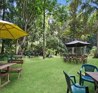 Rainforest - Accommodation Gold Coast