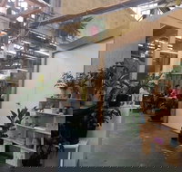 Tiggy - Accommodation Gold Coast