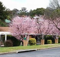 White Lanterns Motel - Gold Coast 4U