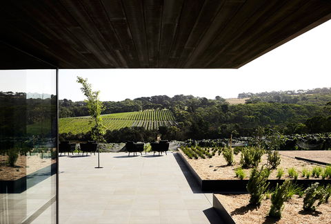 Jackalope Hotel - Accommodation Gold Coast 3