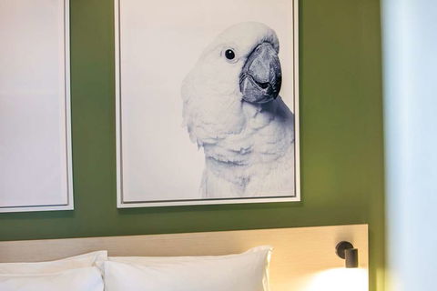 Nightcap at Exeter Hotel - Accommodation Gold Coast 8