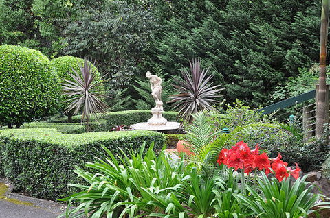 Escarpment Retreat - Gold Coast 4U 0
