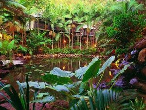 Daintree Eco Lodge & Spa - Accommodation Gold Coast 0
