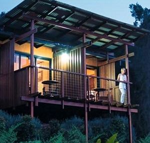 O'Reilly's Rainforest Guesthouse - Accommodation Gold Coast 1
