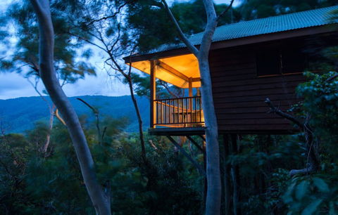 Thala Beach Nature Reserve - Gold Coast 4U 0