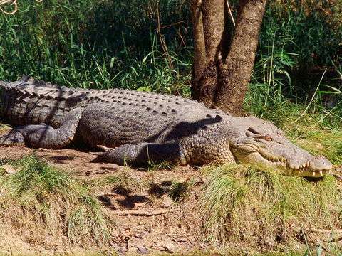 Mercure Darwin Airport Resort - Accommodation Gold Coast 17