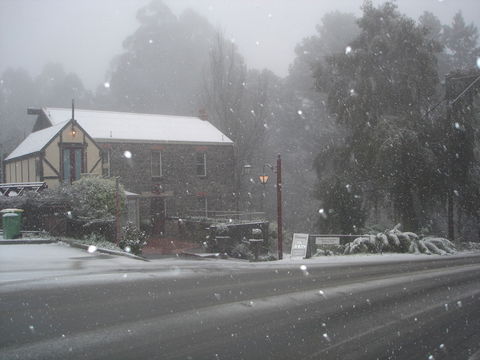 Adeline Bed & Breakfast - Accommodation Gold Coast 1