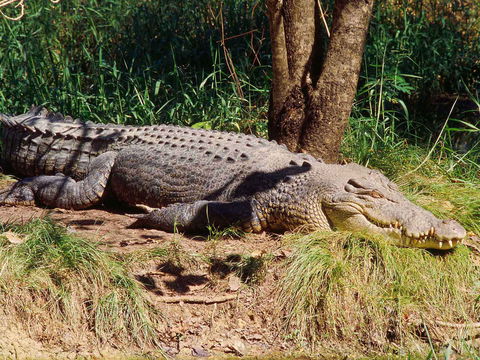 Novotel Darwin Atrium - Accommodation Gold Coast 16
