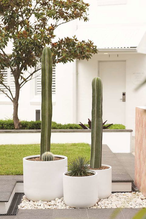 Adina Apartment Hotel Chippendale - Accommodation Gold Coast 0