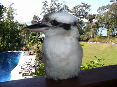 Yarrandabbi Dreaming Boutique B&B - Accommodation Gold Coast 2