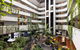 Novotel Darwin Atrium - thumb 0