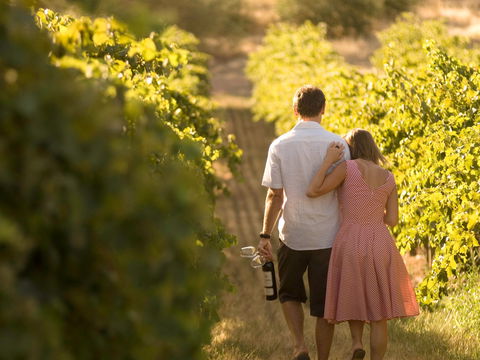 Novotel Barossa Valley Resort - Accommodation Gold Coast 1