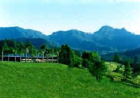 Hillcrest Mountain View Retreat - Accommodation Gold Coast 2