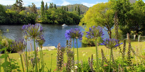 Woodbridge On The Derwent - Gold Coast 4U 3