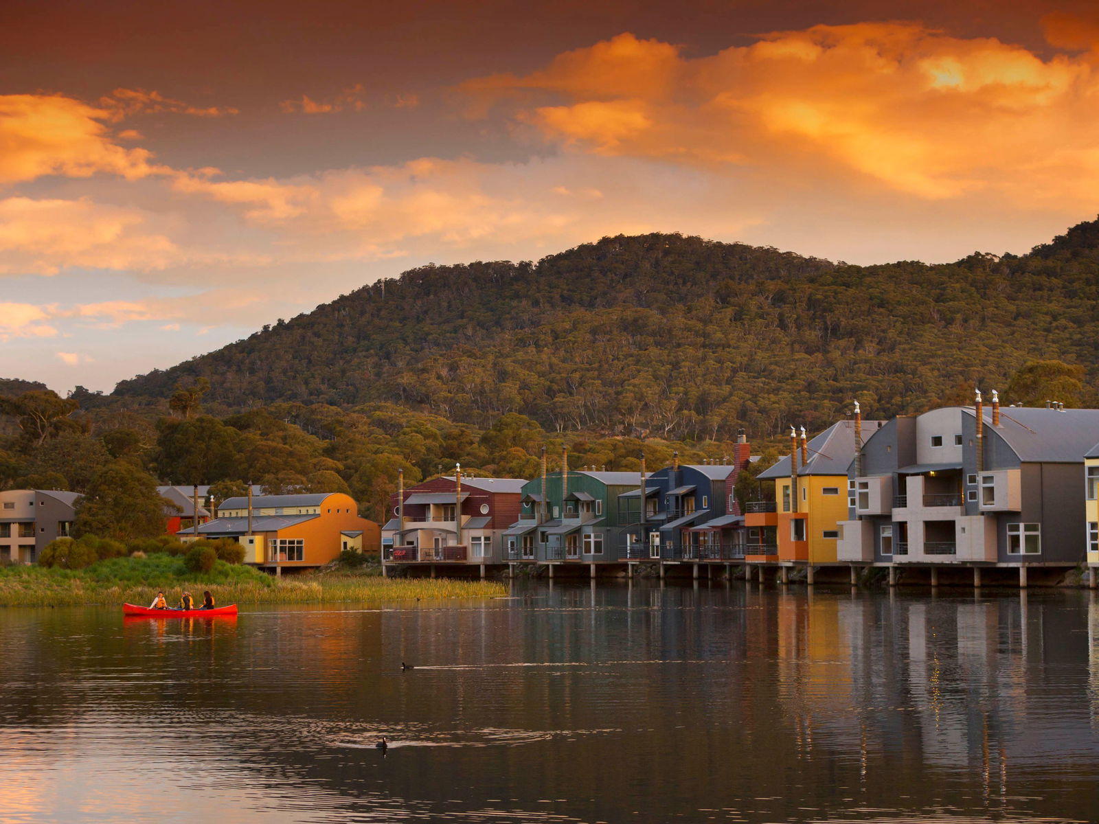 Westwood NSW Gold Coast 4U