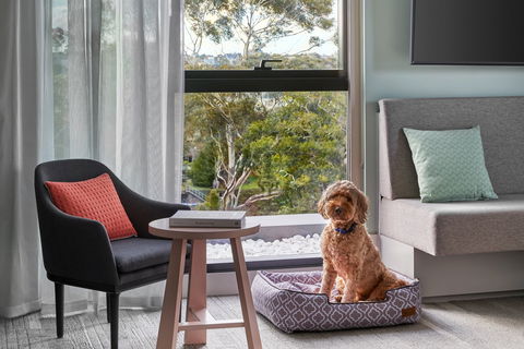 Element Melbourne Richmond - Accommodation Gold Coast 2