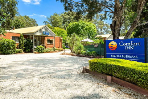 Comfort Inn Coach & Bushmans - Gold Coast 4U 0
