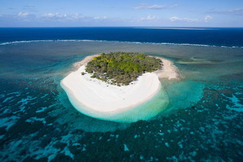 Wilson Island Resort - Accommodation Gold Coast 0