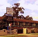 Golden Chain Ascot Motor Inn - Gold Coast 4U