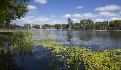 Itara & Jacana Apartments - Gold Coast 4U 2
