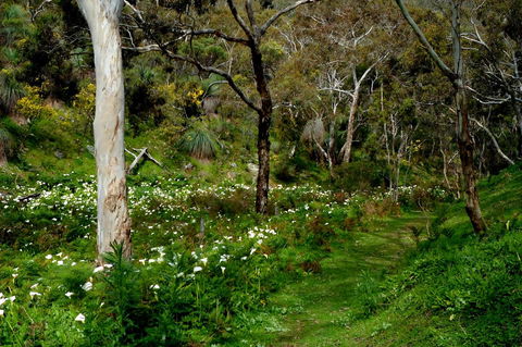 Lure Bed And Breakfast - Gold Coast 4U 17