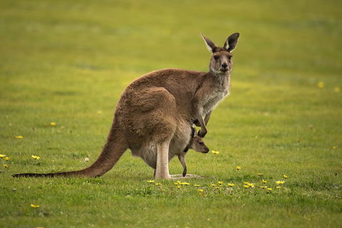Lure Bed And Breakfast - Gold Coast 4U 20
