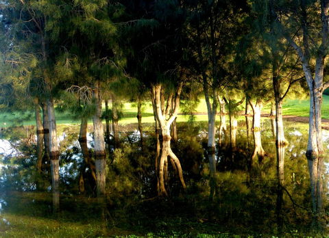 Lure Bed And Breakfast - Gold Coast 4U 18