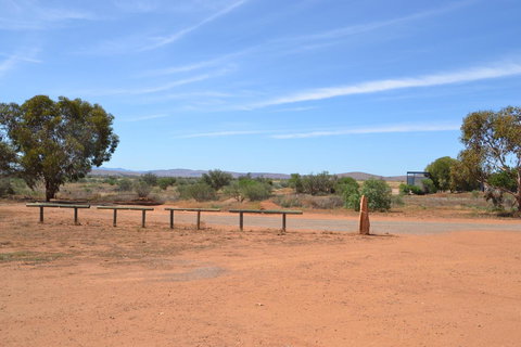 Windana Cottages - Accommodation Gold Coast 23