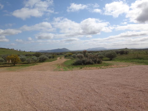 Windana Cottages - Accommodation Gold Coast 37