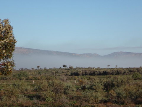 Windana Cottages - Accommodation Gold Coast 44