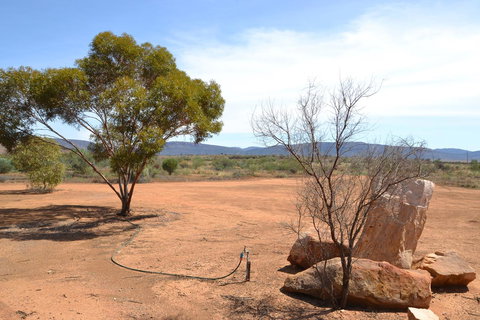 Windana Cottages - Accommodation Gold Coast 25