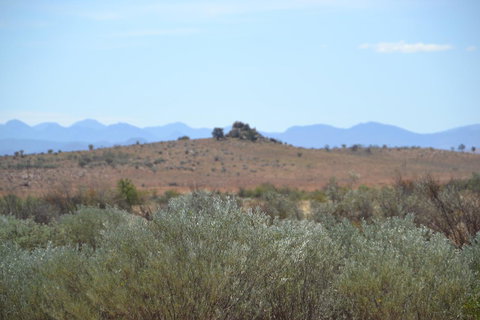 Windana Cottages - Accommodation Gold Coast 30