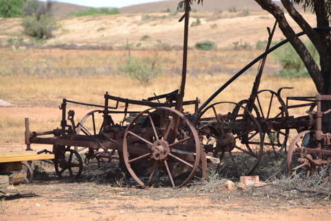 Windana Cottages - Accommodation Gold Coast 26