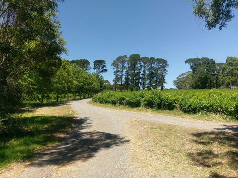 Lost In The Vines - Gold Coast 4U 28