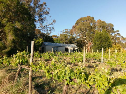 Lost In The Vines - Gold Coast 4U 25